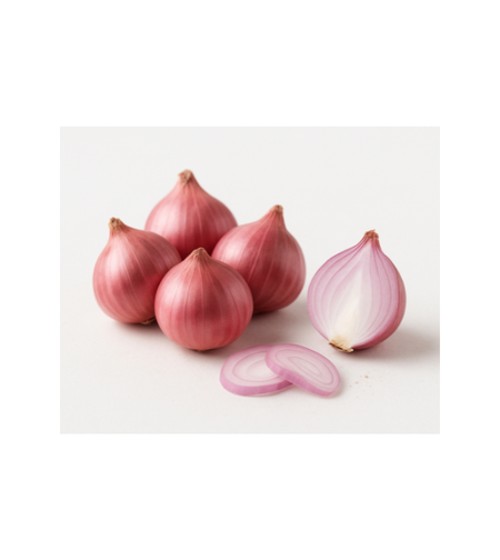 בצלצלי שאלוט – ארוז