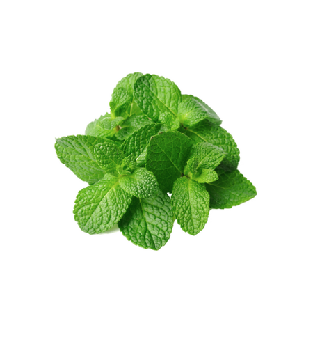 נענע טרייה | ארוזה