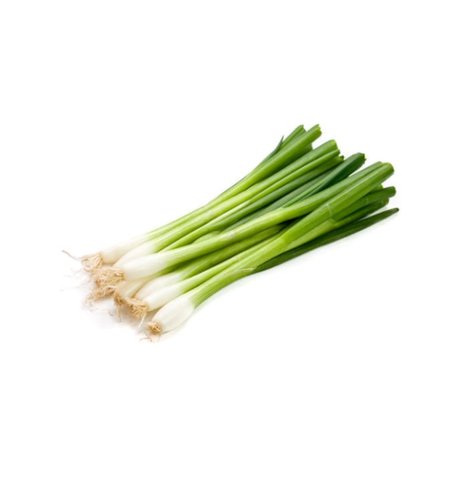 בצל ירוק | ארוז