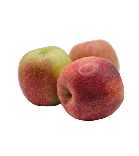 תפוח פינק ליידי – תוצרת ישראל | לפי 1 קילו