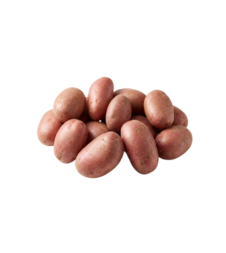 תפוח אדמה אדום | לפי 1 קילו