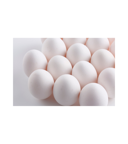 ביצים – תבנית 18 יח׳ (מידה L)