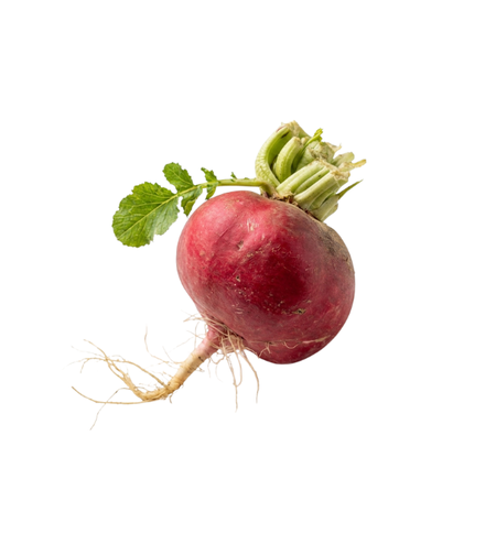 צנון | לפי 1 קילו