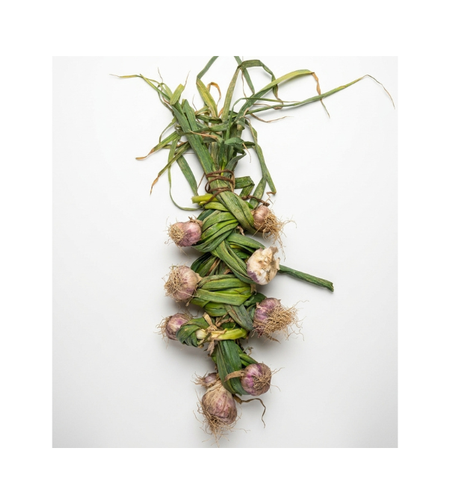 שום ירוק | לפי 1 קילו