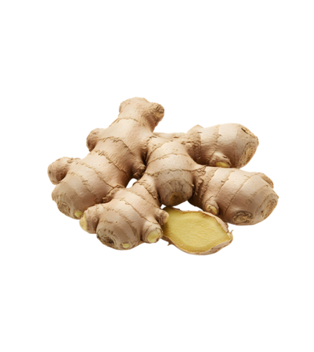 שורש ג׳ינג׳ר טרי |  לפי 1 קילו