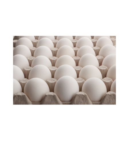 ביצים – תבנית 30 יח׳