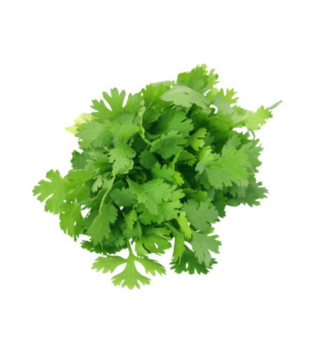 כוסברה | ארוז