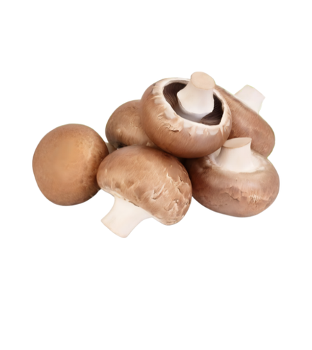 פטריות פורטבולו | מארז