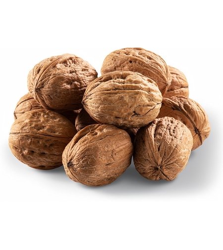 אגוז מלך בקליפה