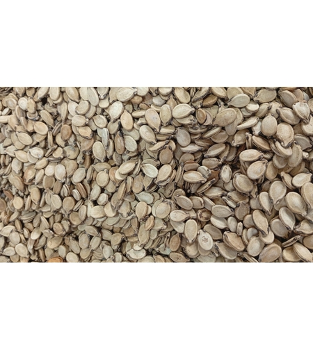 גרעיני אבטיח קלויים 250גרם