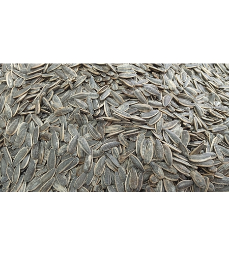 גרעיני חמניה קלויים 500 גרם 2יחידות ב19.9ש