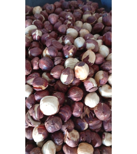 לוז קלוי ללא מלח 250 גרם