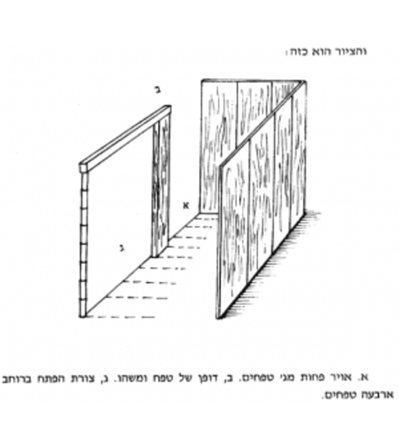 דופן 60