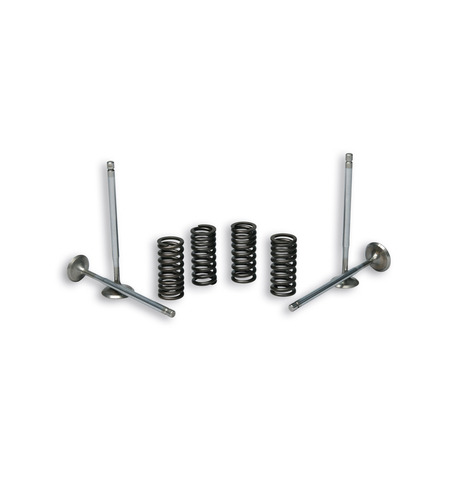 Malossi 4 STROKE VALVE – סט שסתומים וקפיצים לראש מנוע מקורי Vespa GTS 300/250 2014–2018