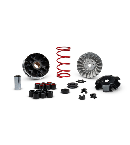 וריאטור מלוסי MULTIVAR MHR למערכת OVER RANGE