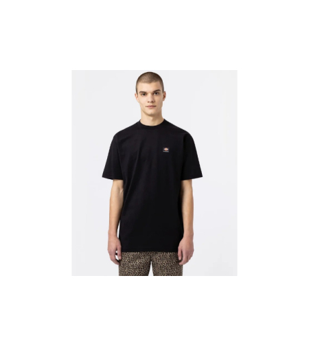 Dickies - טי שירט Mount Vista