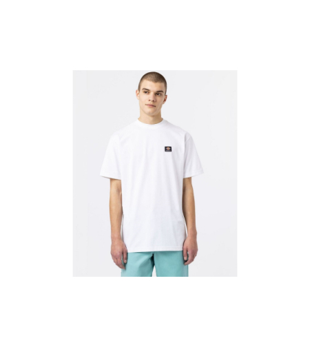 Dickies - טי שירט Mount Vista