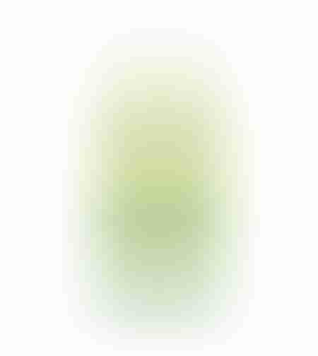 OKF Shine  MuscatSparkling Ice Wine Taste 500ml