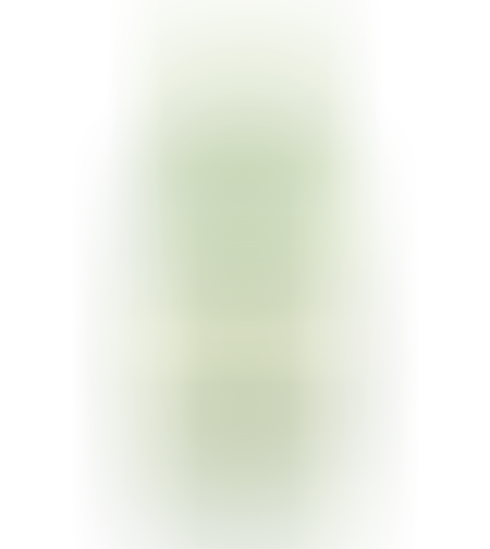 Soju Jinro - Green Grape 360 ml 