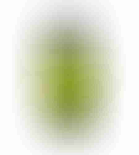 OKF Sparkling Green Grape Lite 350ml