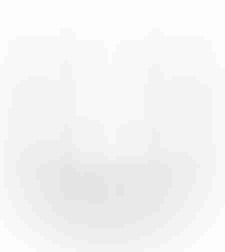 נתב אלחוטי 5 אנטנות TP-LINK AC1350 ARCHER C60