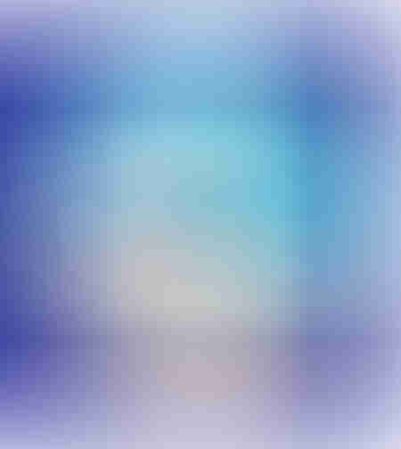 מדבקות דש יונת שלום 1/36