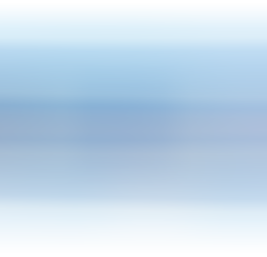 דגל משי 110/500