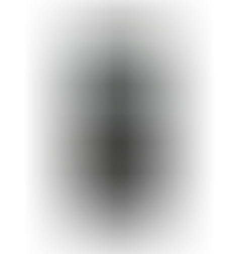 מחשבון מדעי CASIO FX991CW