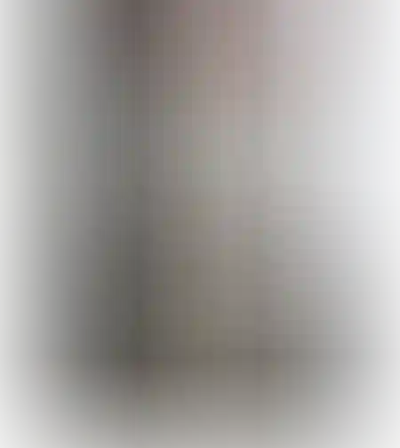 ג׳ינס אורלנדו