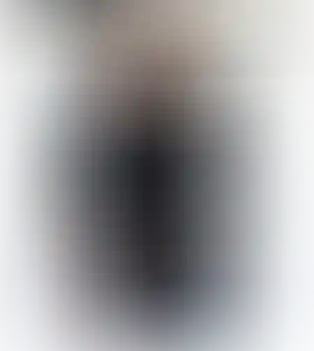 חולצה אנה שחור