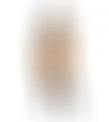 LEE 112371065