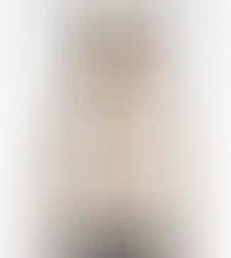 LEE 112370988