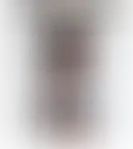 חצאית פרנקי שחור