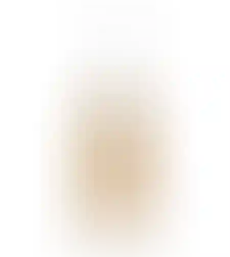 רוטב בייגלה מלוח