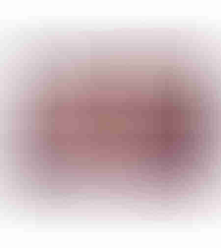 maybelline eyeshadow palette-burgundy bar