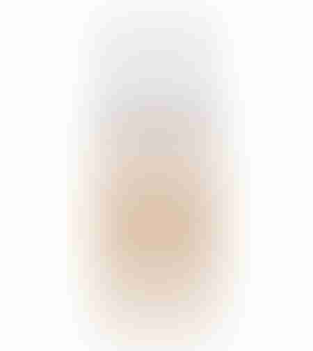 loreal paris truematch foundation-6n