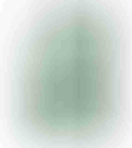 sebocalm phyto serum