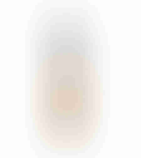 loreal paris true match foundation