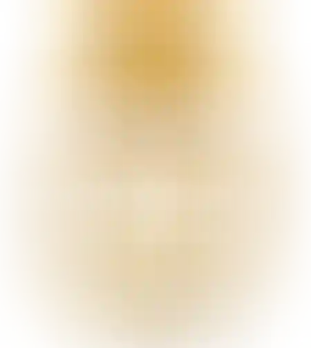 Elie Saab Le Parfum Lumière