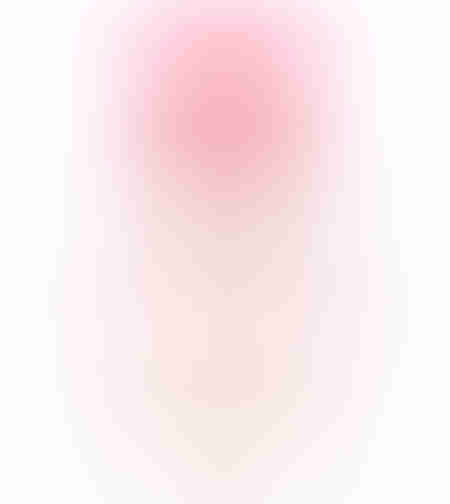 cabotine rose