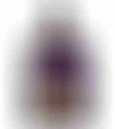 tom ford velvet orchid