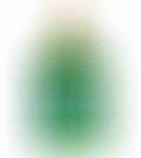 dumont nitro green