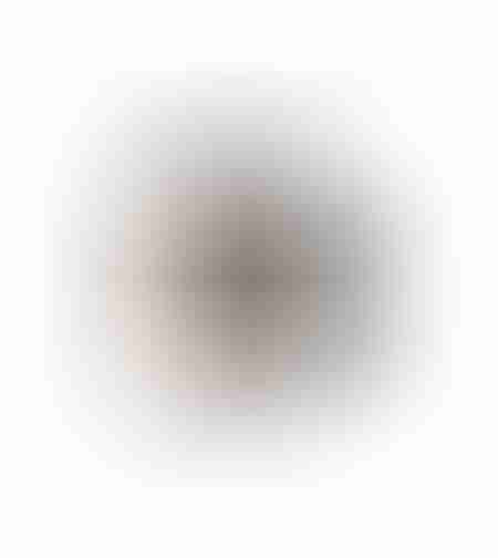 mac studio fix powder plus foundation