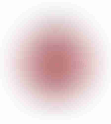 essence the blush