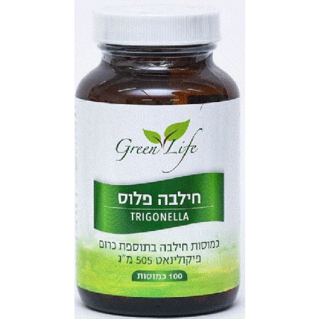 חילבה פלוס