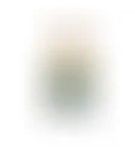 Renée PHENOMENA