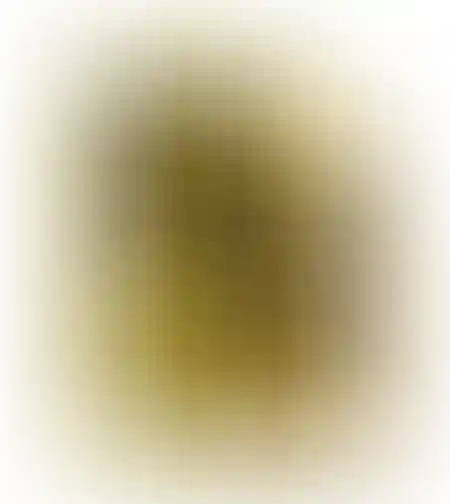 lelas golden