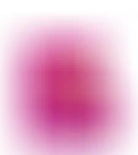 lelas pink