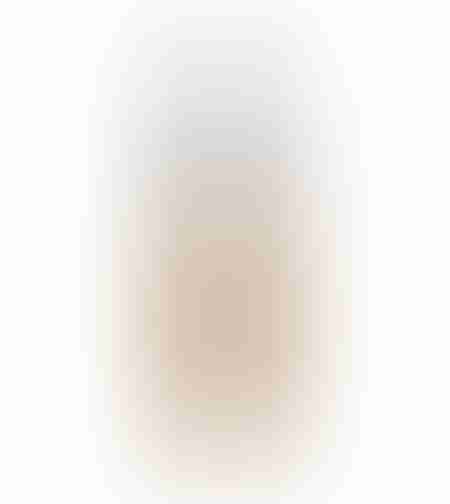 loreal paris true match foundation
