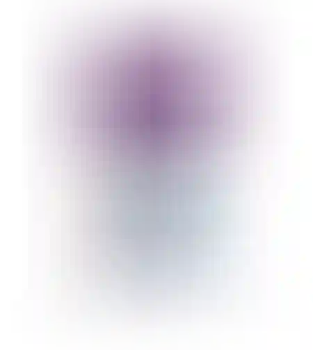אלטמן יומי אומגה 3 צמחי